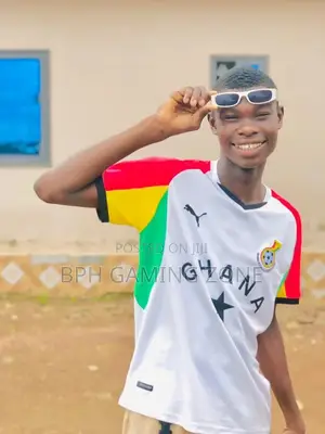 Am a Wordpress Website Developer