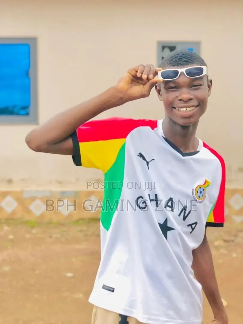 Am a Wordpress Website Developer