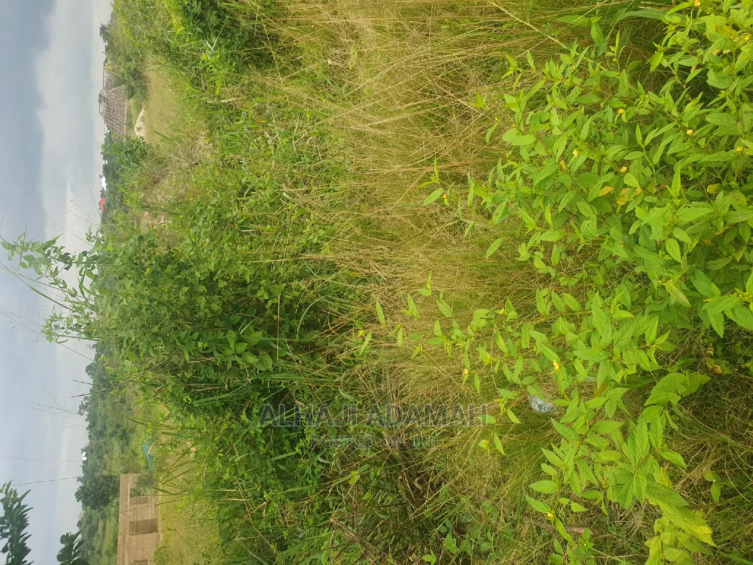 Plot for Sale at Santasi Darko New Site