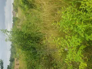 Plot for Sale at Santasi Darko New Site