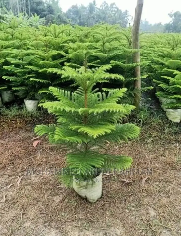 The Best In Landscape And Garden