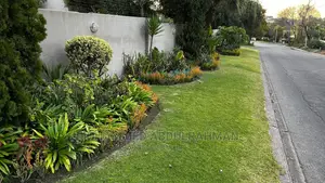 The Best In Landscape And Garden