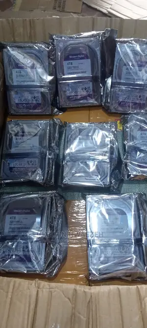 Surveillance Drive 4TB