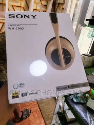 Sony Headset
