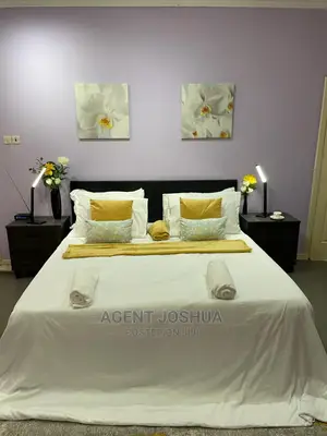 Furnished 3bdrm House in Manet Viile Estate, Spintex for rent