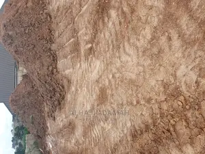 Half Plot for Sale at Santasi Darko