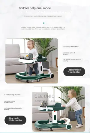 Fancy Baby Walker