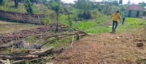 Lands for Sale at Several Different Locations Around Ejisu