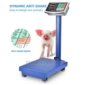 180kg Electronic Platform Scale