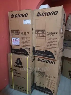 Chigo 50x50 Gas Cooker Oven.Chicken Turns Pit
