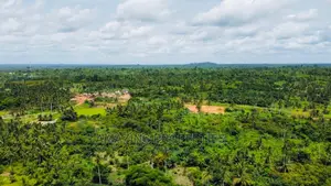 150 Acres of Land at Esusu