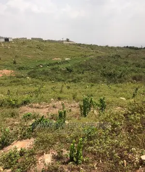 40 Acres of Land at Ayikuma