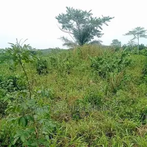 5000 Acres Of Farmland For Sale At Ekumfi