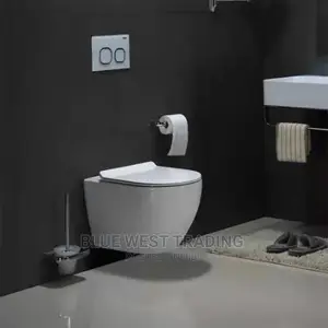 Hanging Water Closet - Concealed Water Closet