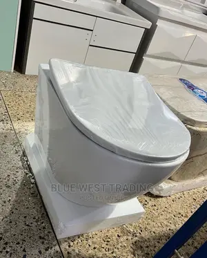 Hanging Water Closet - Concealed Water Closet