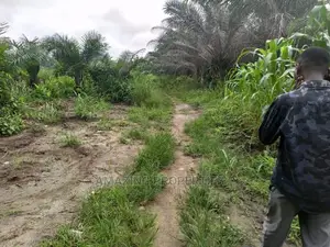 1000 Acres of Land for Sale at Papase
