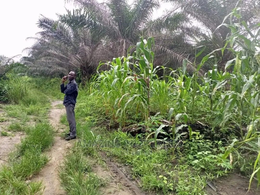 1000 Acres of Land for Sale at Papase