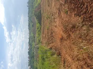 Two Plots of Land at Santasi Darko New Site