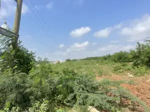 Judgment Land for Sale at West Trasacco Do Call for More Inf