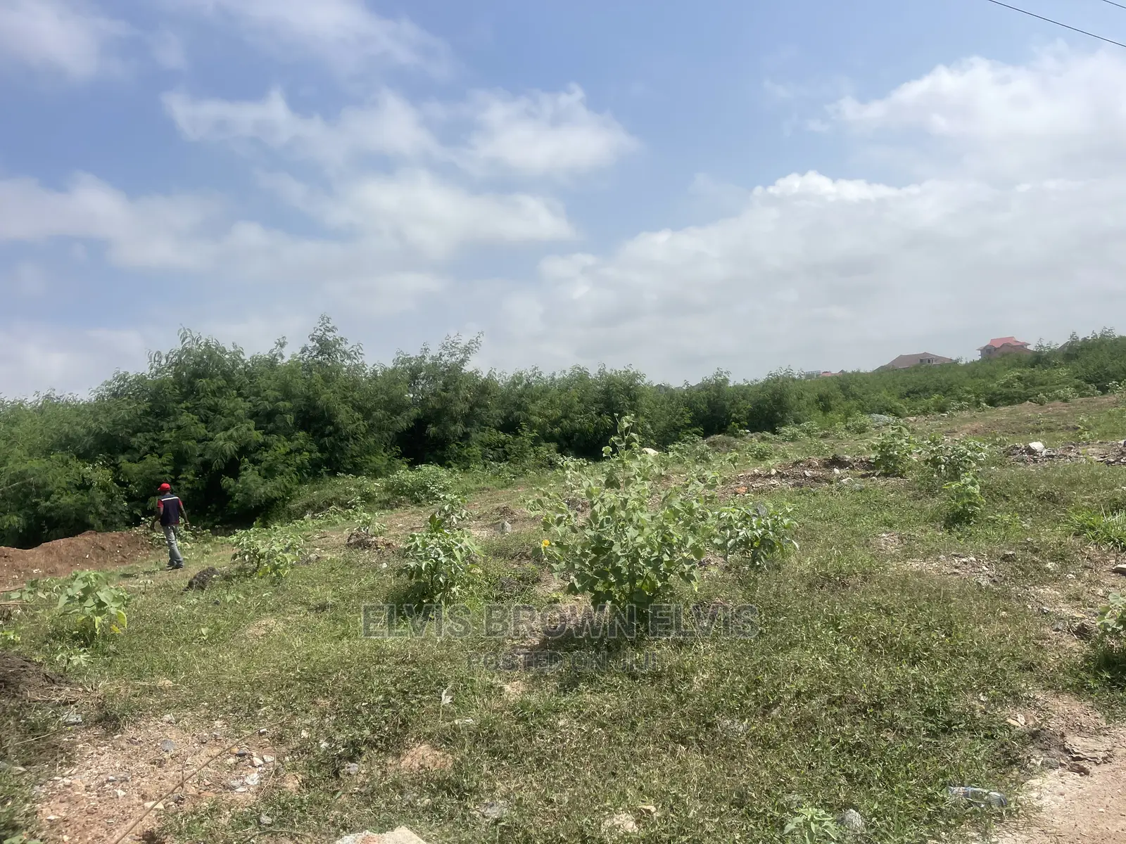 Do You Want to Buy a Plot of Land Very Close to E Motoway
