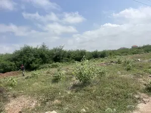Do You Want to Buy a Plot of Land Very Close to E Motoway