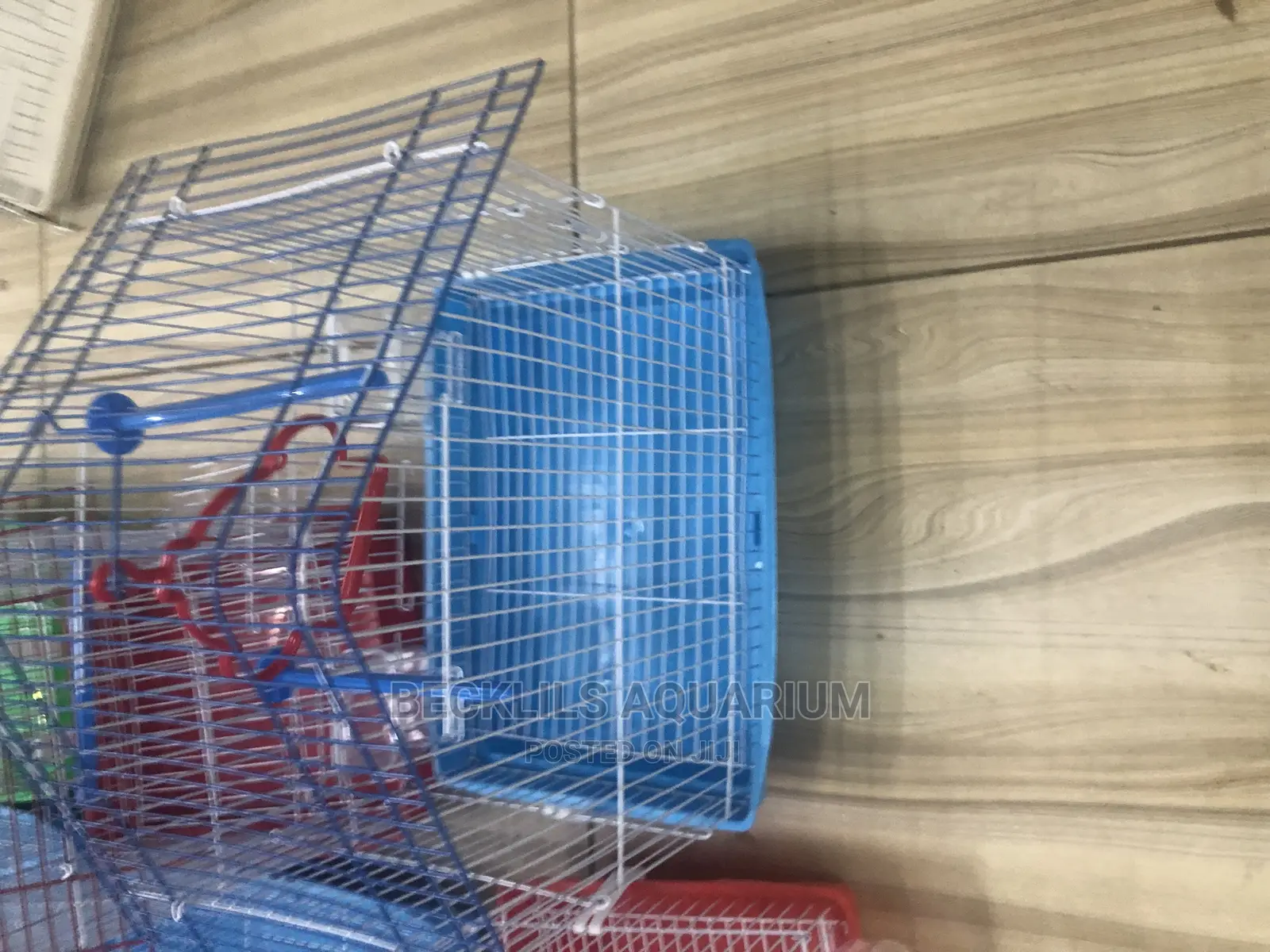 Cages for Small Birds