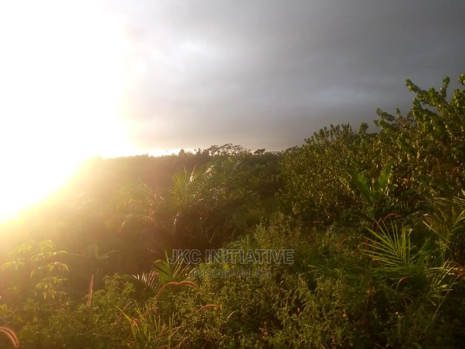 100 Acres Road Side Land For Sale At Busua