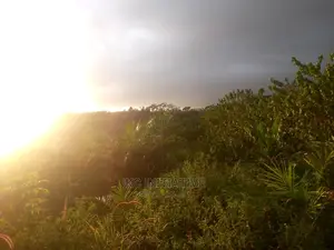 100 Acres Road Side Land For Sale At Busua