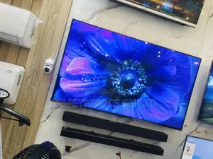 Clear OLED 55 Inches Glossy A1PVA LG Tv