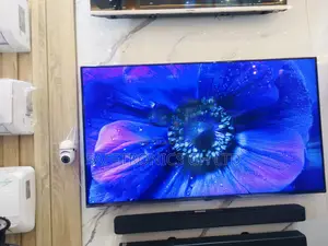 Lg Ecofriendly 55 Inches Glossy BXPVA Oled Tv