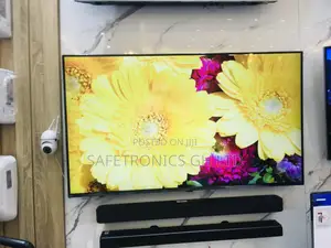 LG High Efficiency 65 Inches Glossy Oled BXPVA Tv