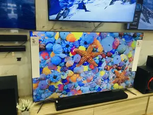 Perfect Design 65 Inches Oled Glossy C1PVA  LG Tv
