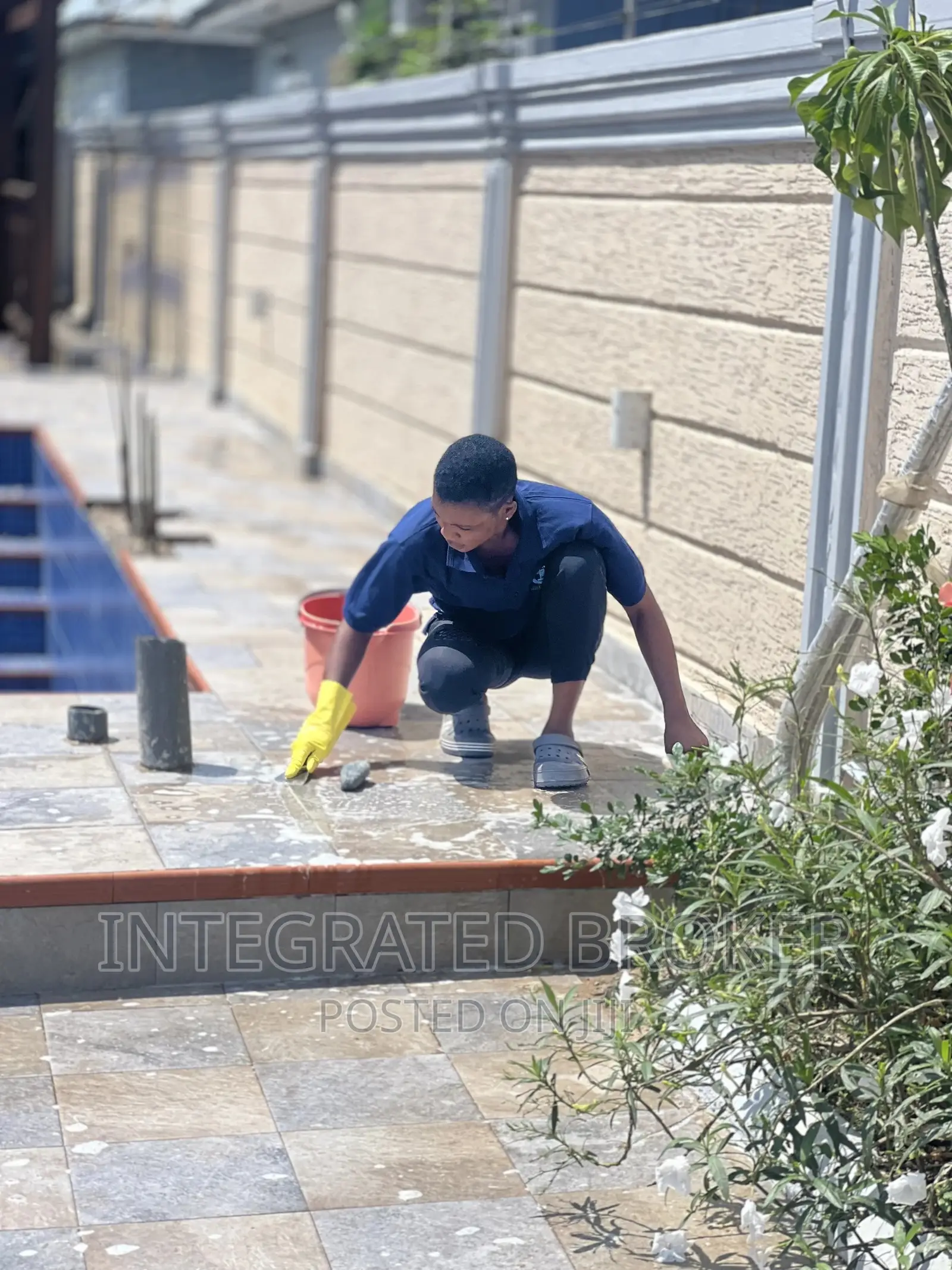 Affordable Cleaning Service,Fumigation and Pest Control