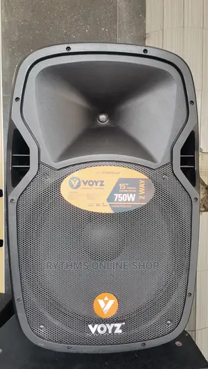 15” Voyz BT Rechargeable Speaker