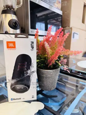 Portable Bluetooth Speaker JBL Flip 6 Black