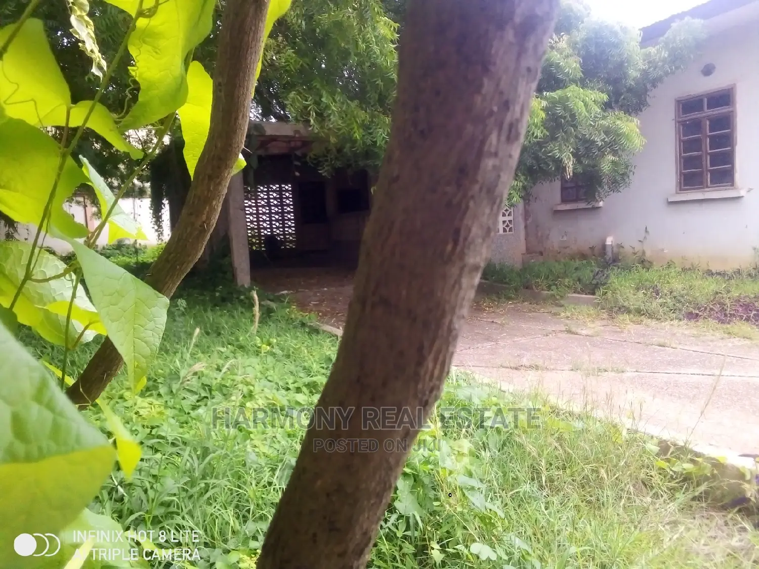 4bdrm House in Tesano for sale