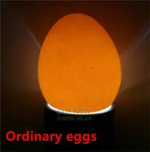 Egg Candler /Egg Tester
