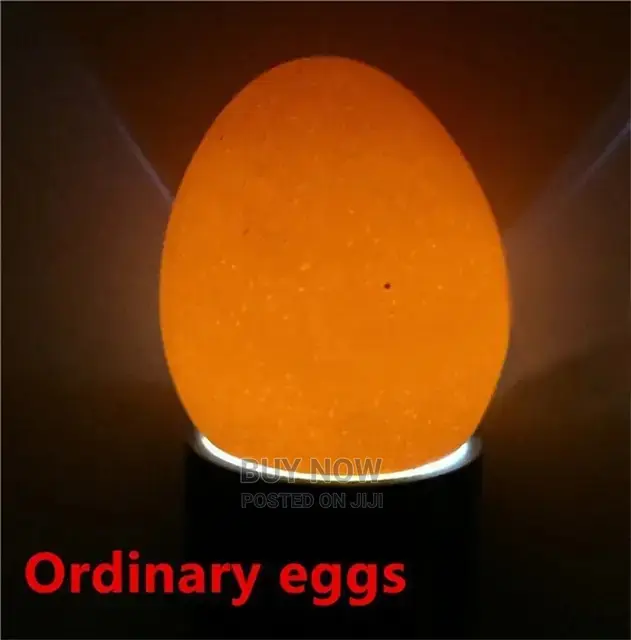 Egg Candler /Egg Tester