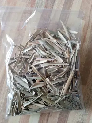 Olive Leaves
