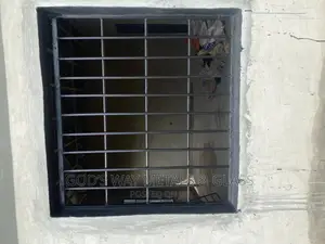 Burglar Proof Windows
