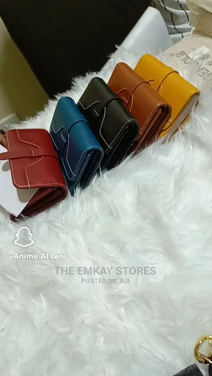 Lady's Purse