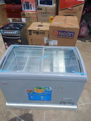 Delron Ice Cream/ Showcase Freezer 258 Litres