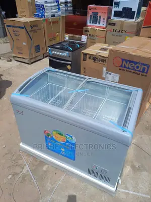 Delron Ice Cream/ Showcase Freezer 258 Litres