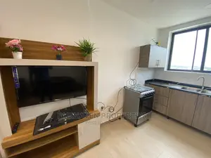 Fully Furnished 1bedroom Apartment at Tseaddo