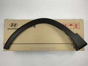 Santa Fe 2019,2020,2021,2022 Fender Moulding