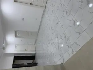 Professional Cleaning Service Providers