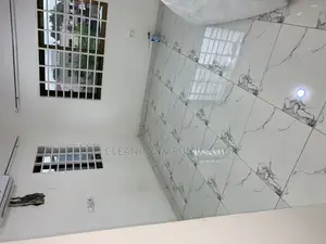 Professional Cleaning Service Providers