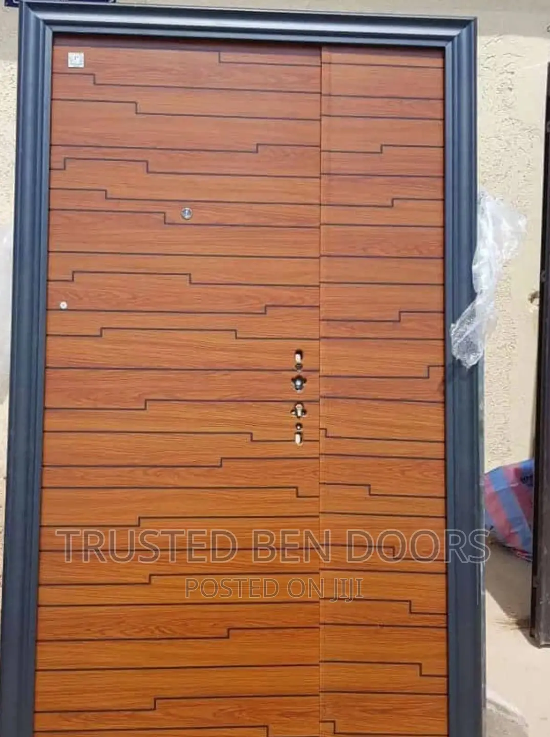 Paladin Metal Security Doors [Many Colors/Designs In Stock]