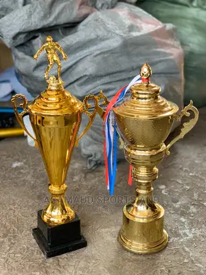 Original Trophy At Cool Price