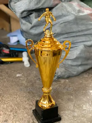 Original Trophy At Cool Price